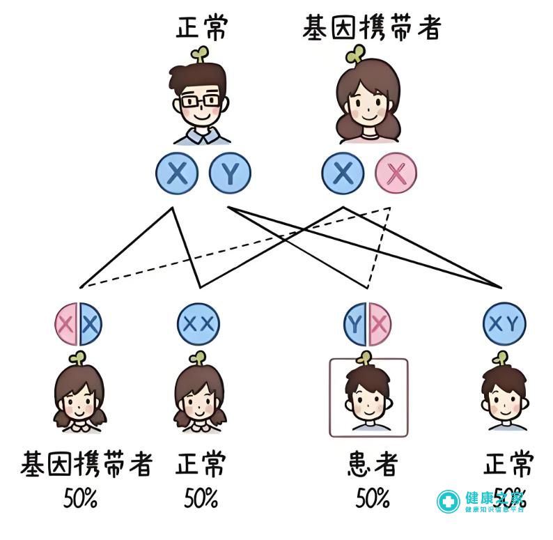 单基因遗传病家族史.jpg